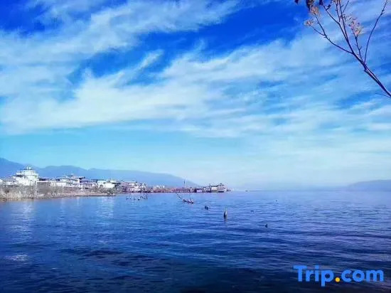 Shiduju Boutique Hotel