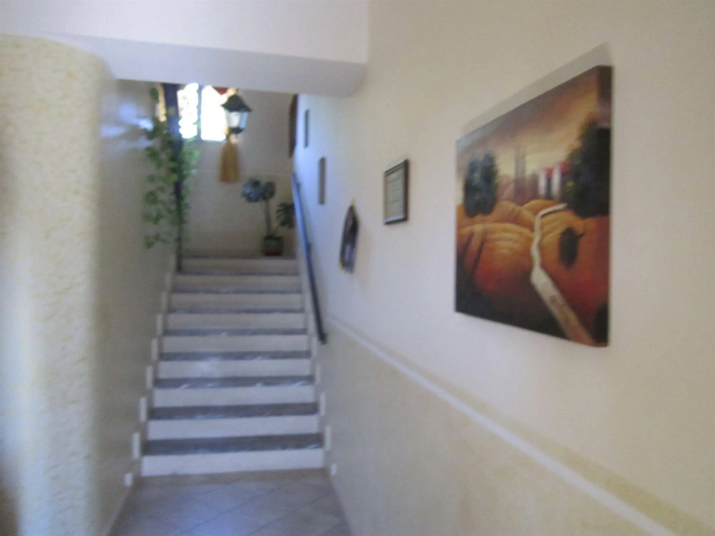 Il Sole Nascente