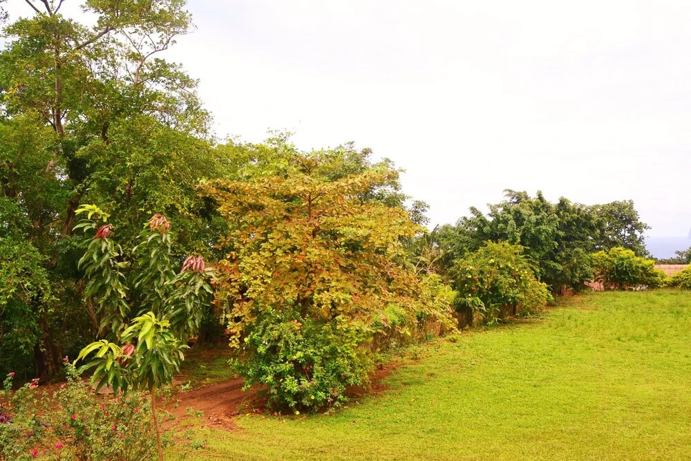 Hotel Rural Abade