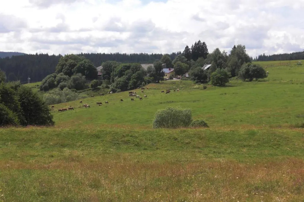Hofgut Dürrenbühl