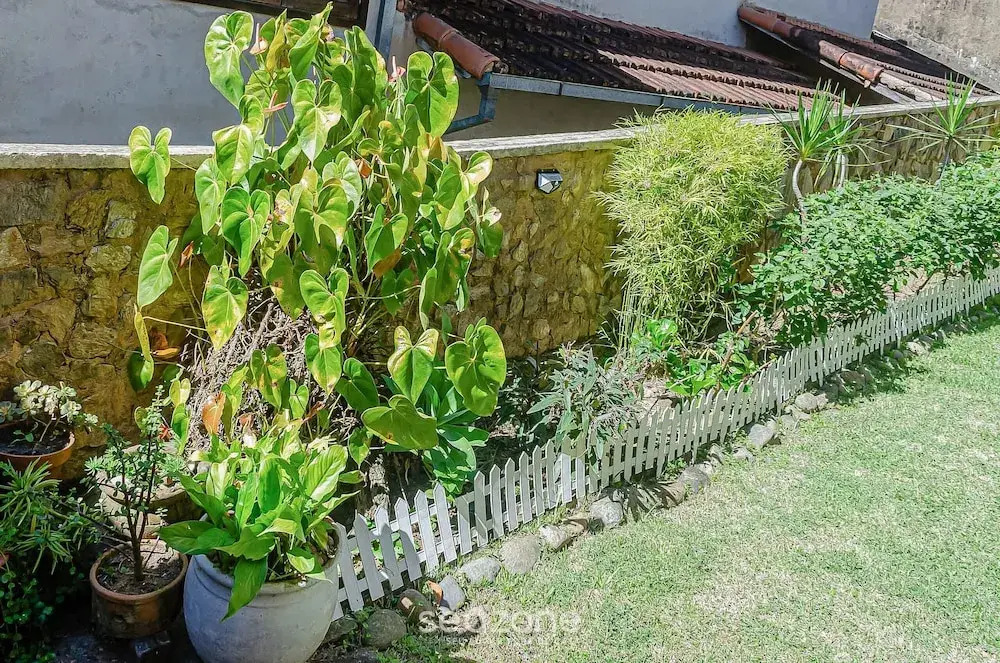 Charming and Cozy House in Petropolis Vgl041