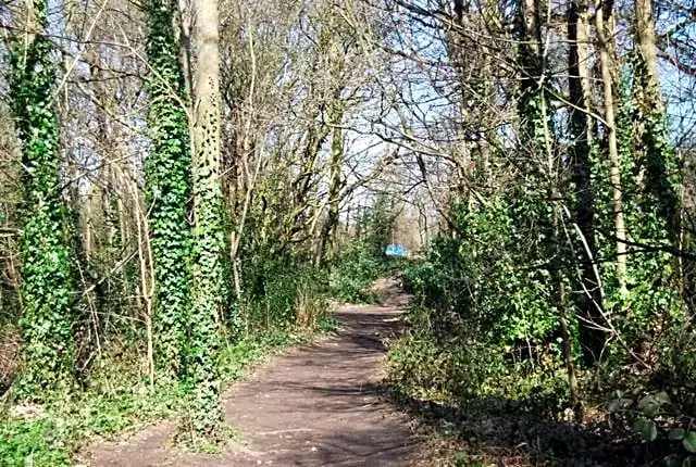 118 Shepherds Lane
