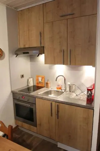 Nouveau !LE CHOUCAS appartements au centre de Chatel avec parking couvert