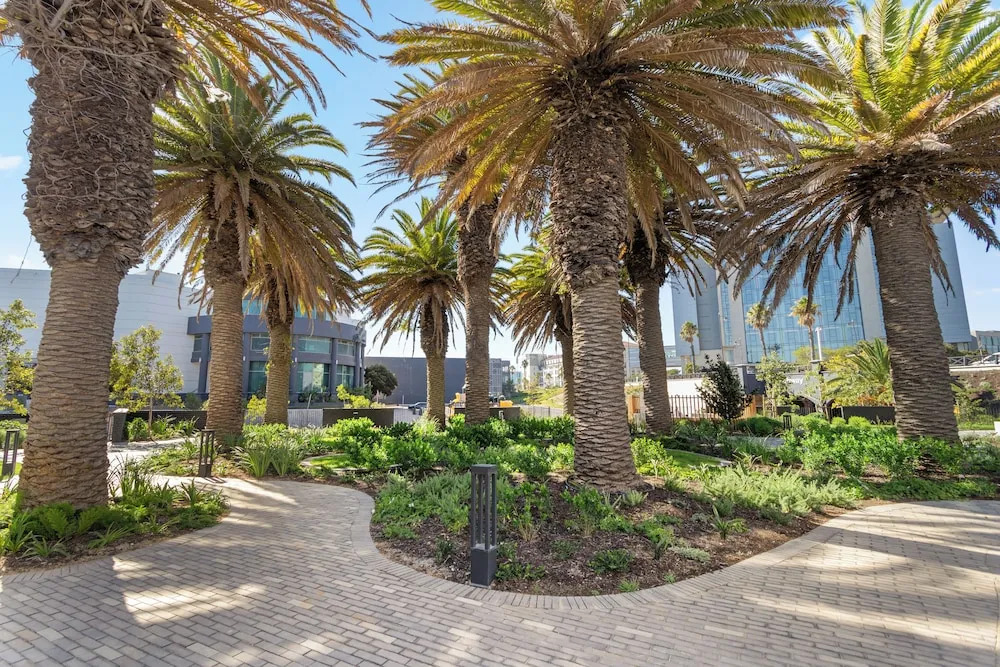 Nine Palms 211