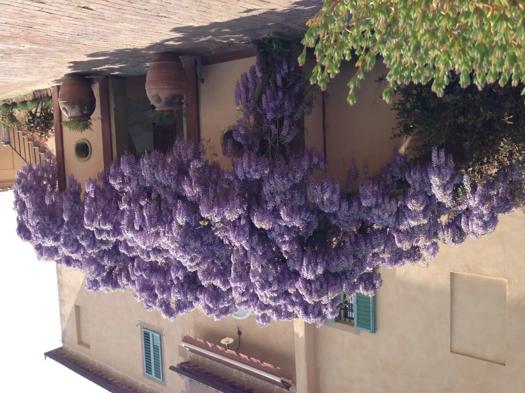 Hotel Palazzo di Valli