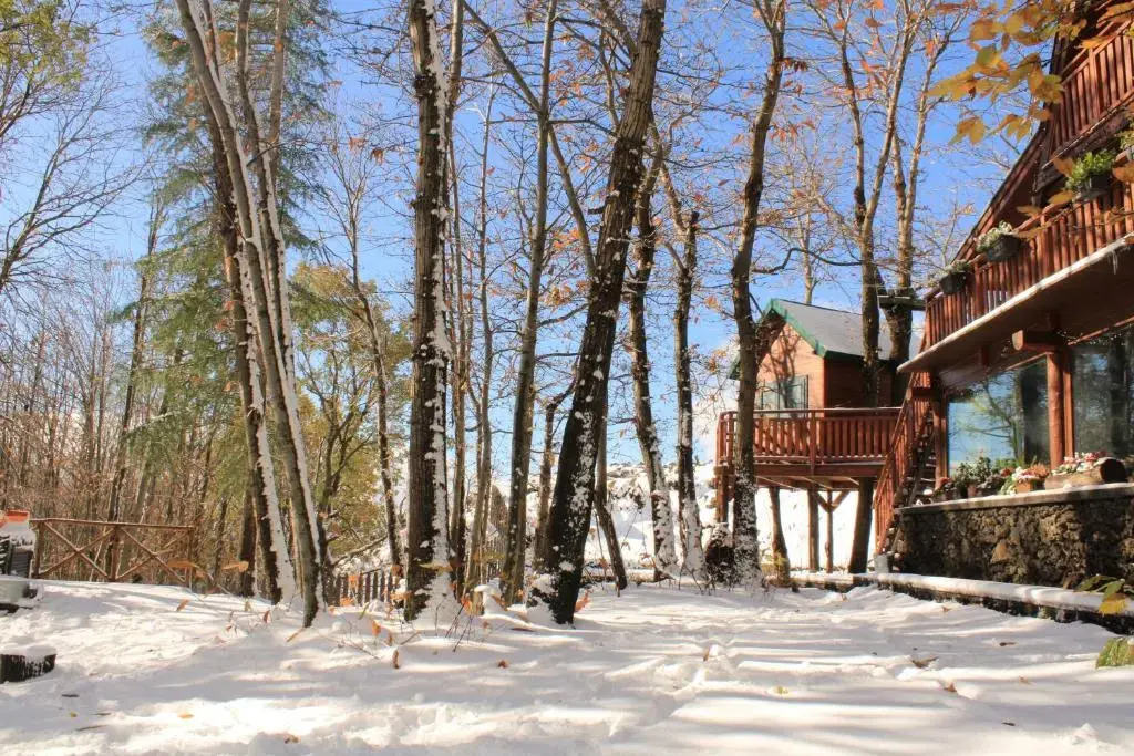 Matildes Chalet Etna Nature House