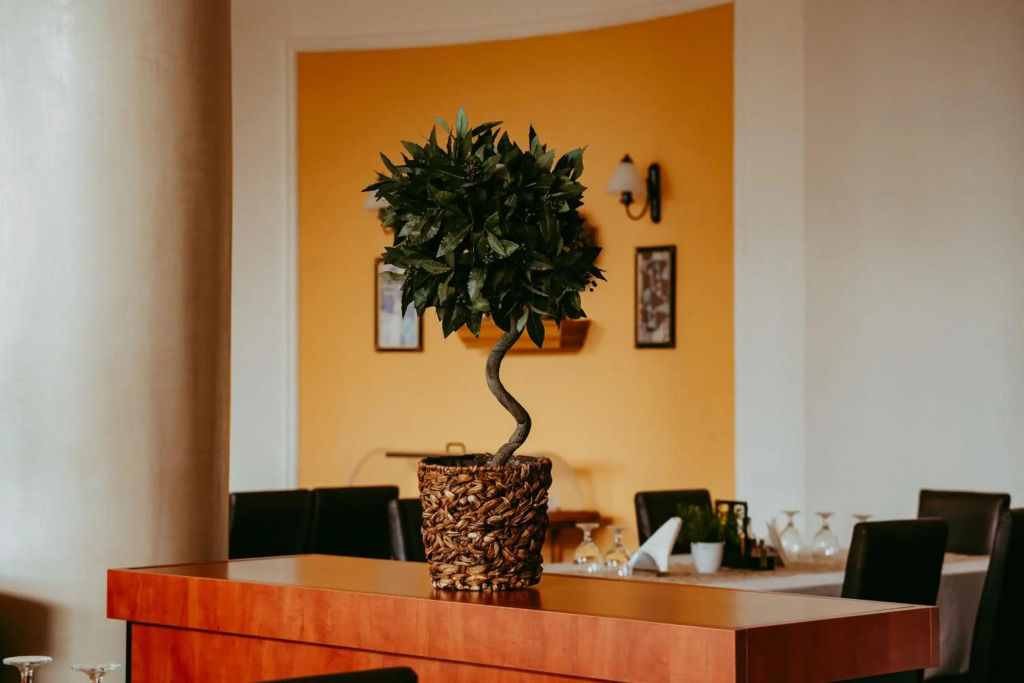 Hotel Aurelia