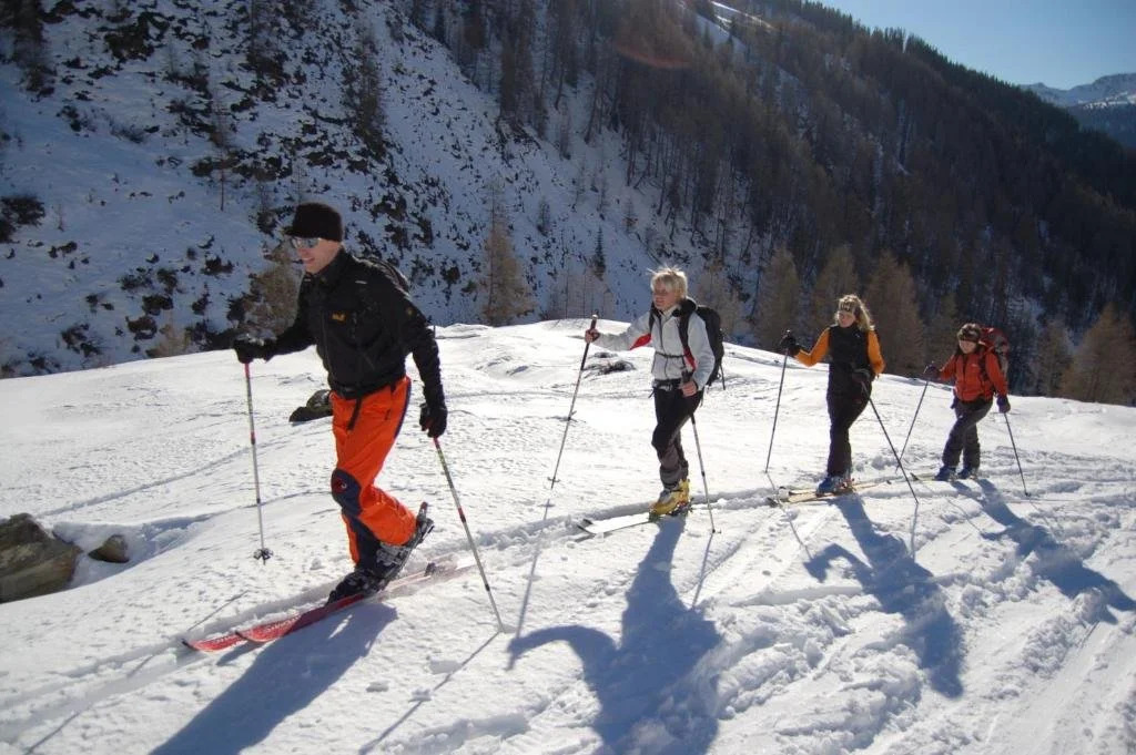 Ferienwohnungen am Berg - Almhütte Alfen