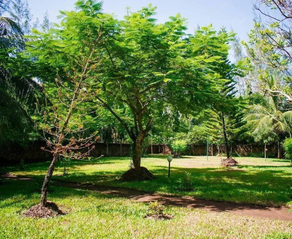 Kijani Cottages DianiBeach