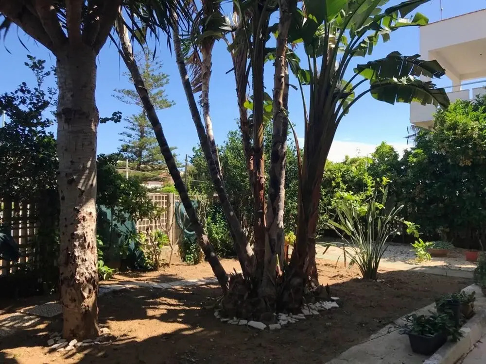 House With 2 Bedrooms in Alcamo Marina, With Furnished Terrace Near the Beach
