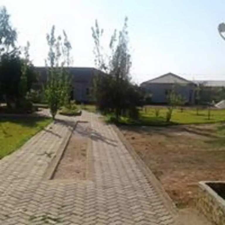 Moyo lodge