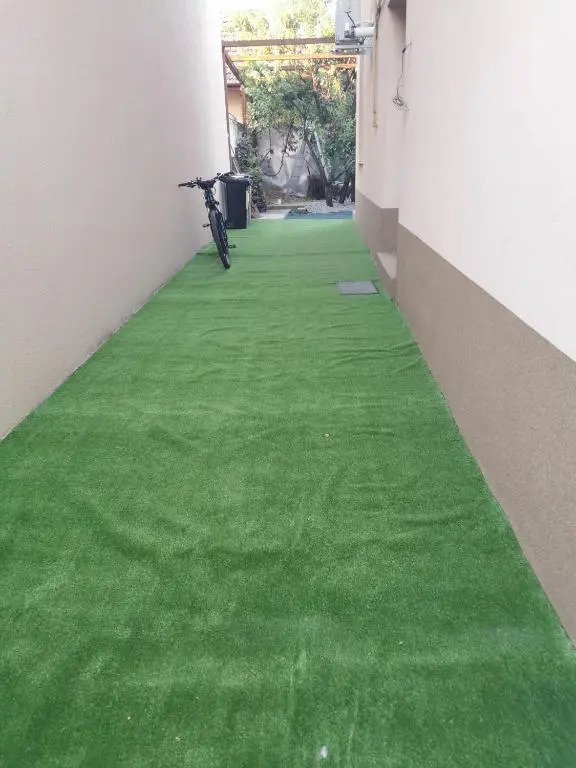 Ancuța 1