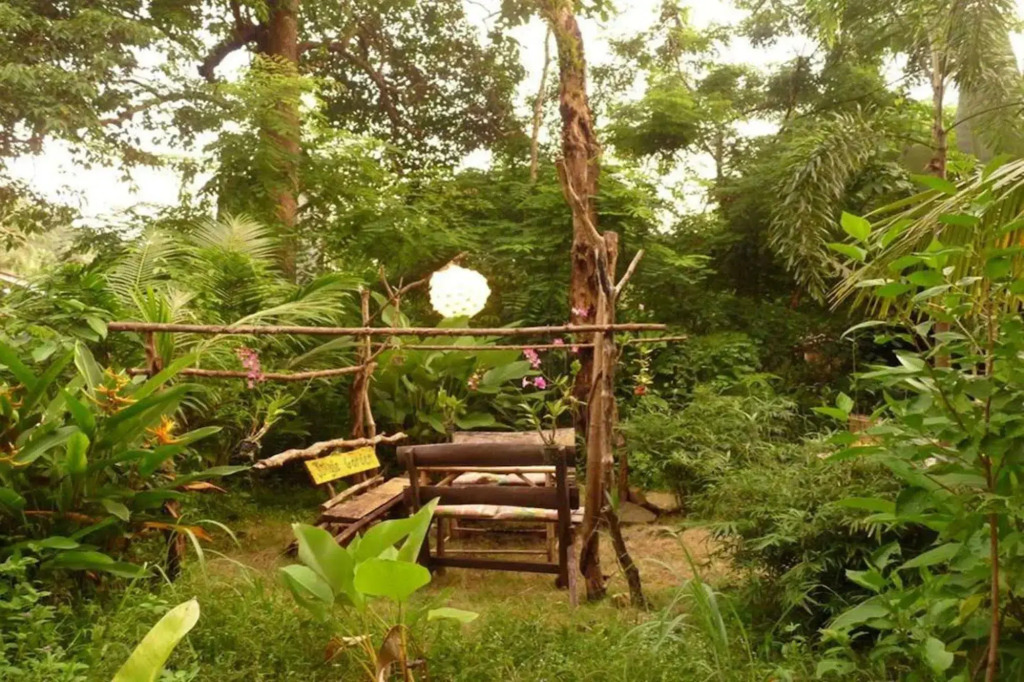 Jungle Garden