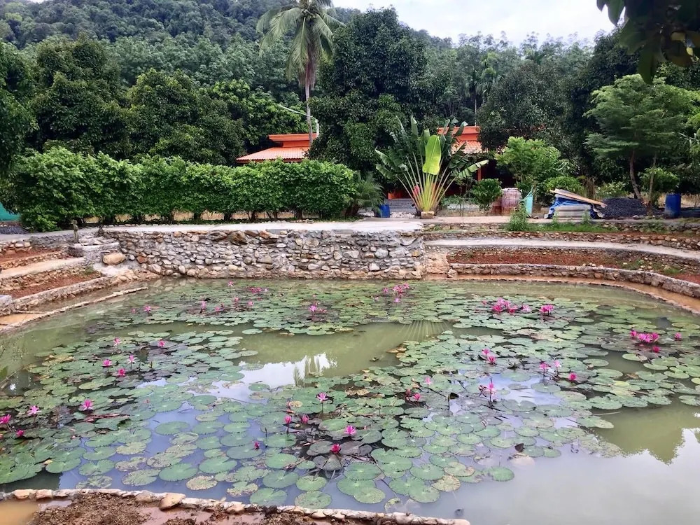 Sichon Resort
