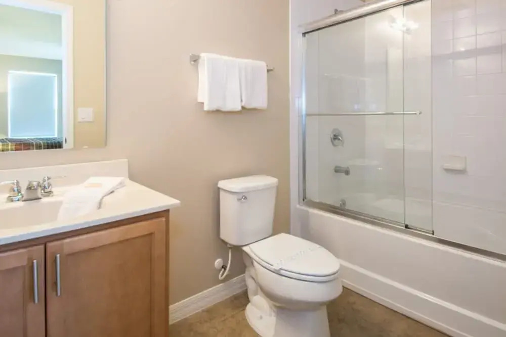 Compass Bay 3181