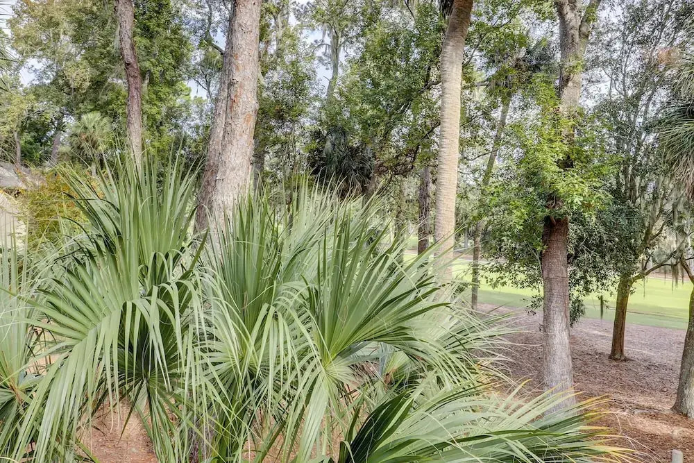 490 Plantation Club Villas at The Sea Pines Resort