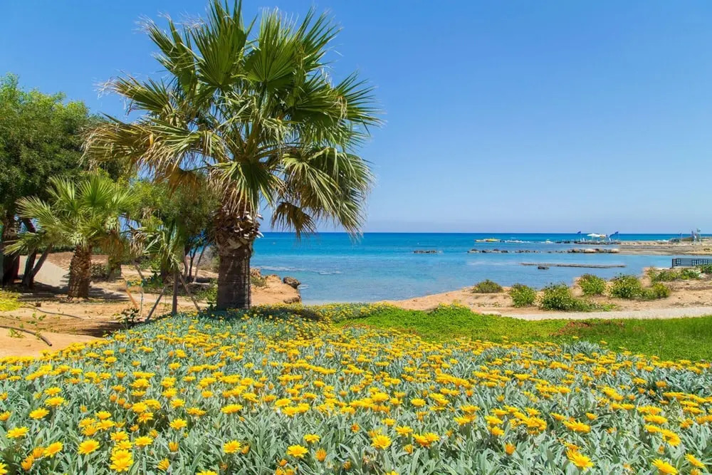 Villa Fostira Large Private Pool Walk to Beach A C Wifi Eco-friendly - 2402