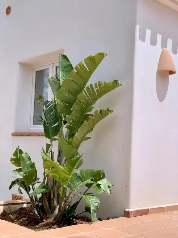 Villa Balconet by Villa Plus