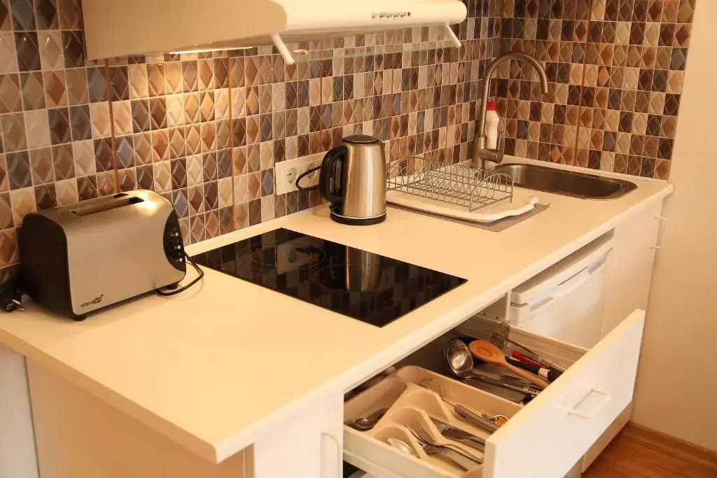 Apartment Druskonis