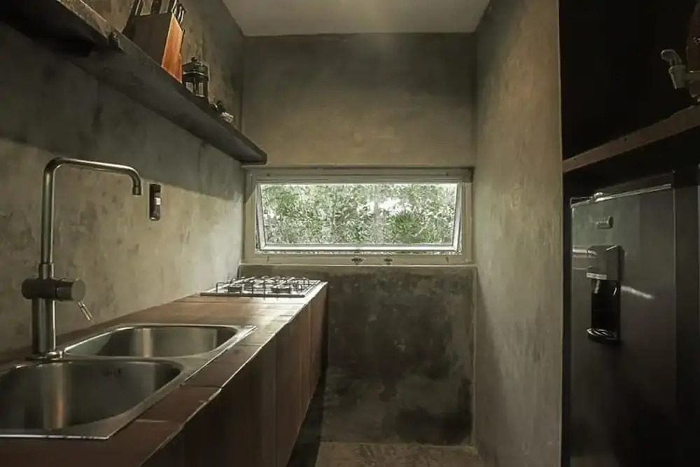 Vida Silvestre Tulum