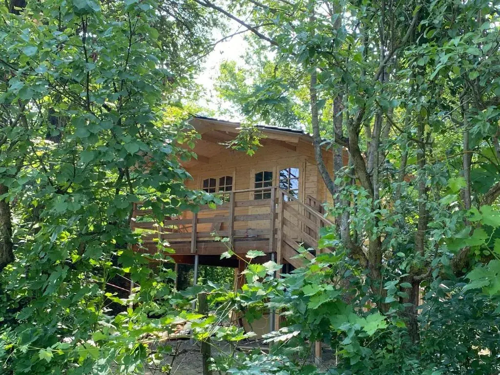 Room in Studio - Casa sullalbero Rural eco