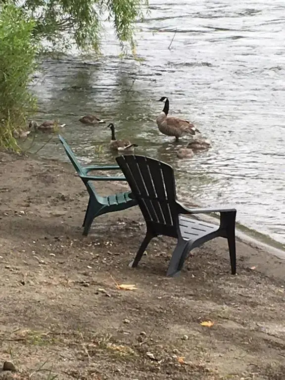 Rivers Edge Lodge