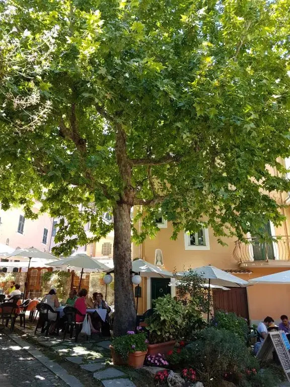Case Antico Comune