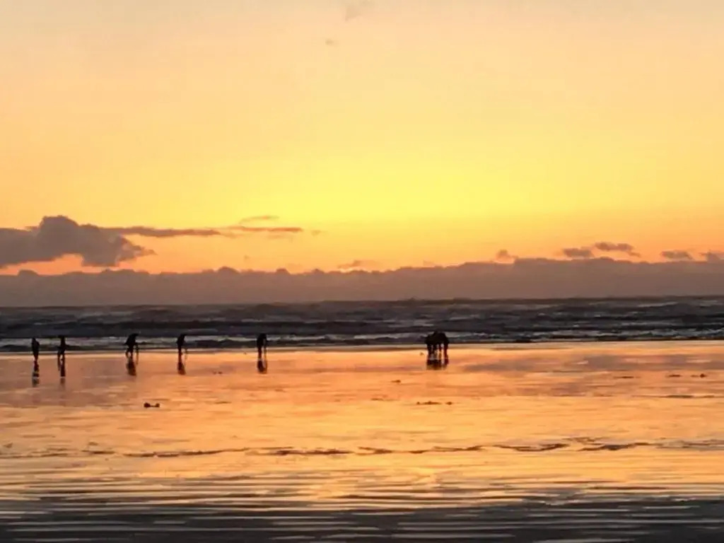 The Lowtide Motel