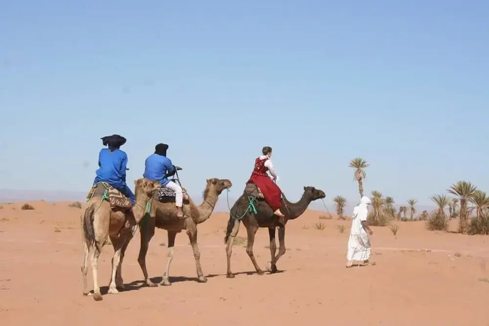 Camp Sahara Nights