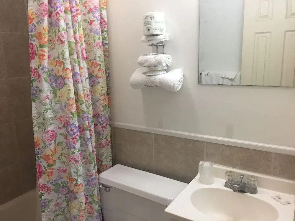 Rustic Motel Rolla