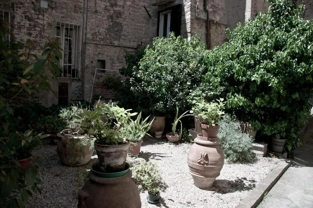 Casa Vannucci