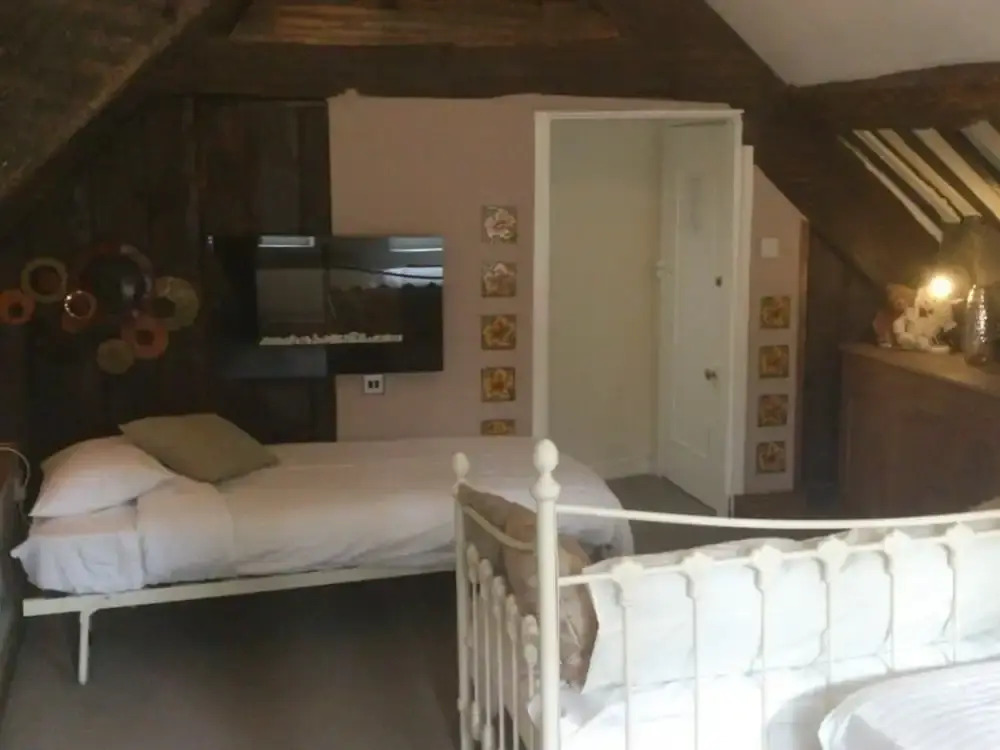 Plas Dolmelynllyn Country Hotel