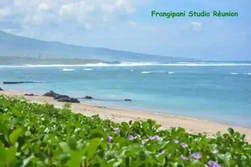 Frangipani Studio Réunion