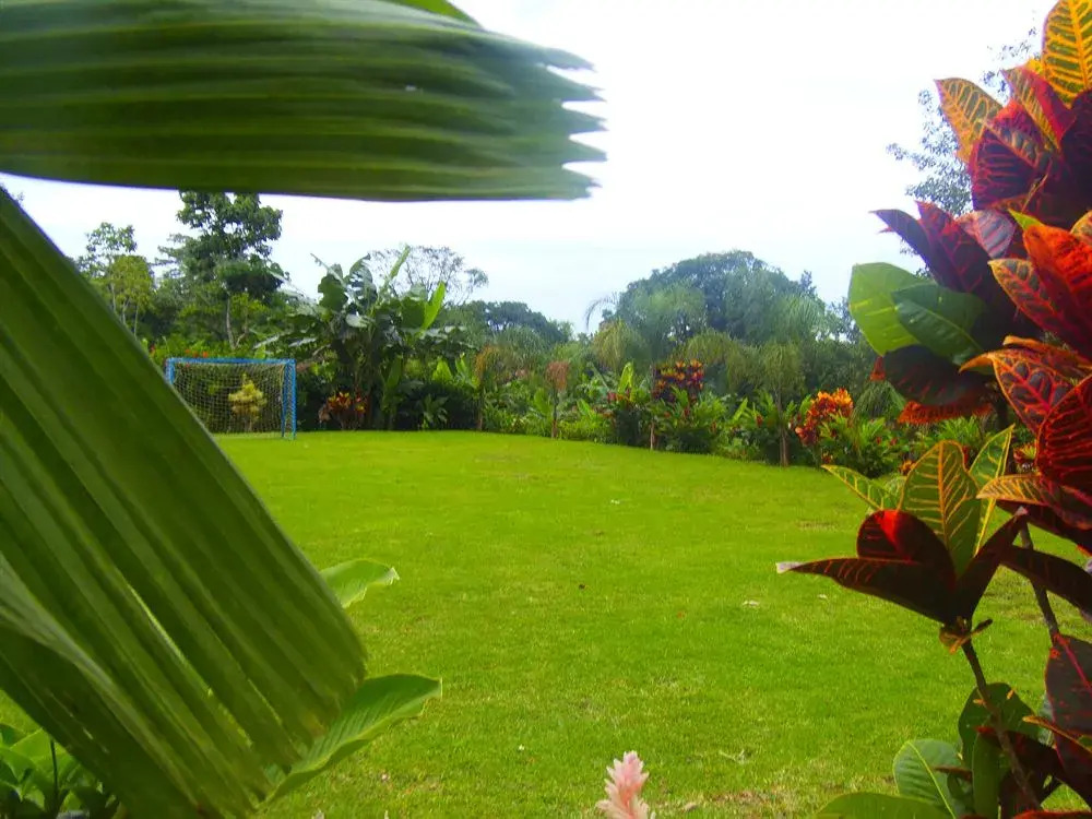 Hotel Heliconias Nature Inn & Hot Springs