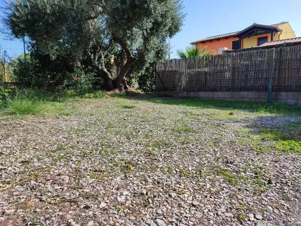 Il Fenicottero 2