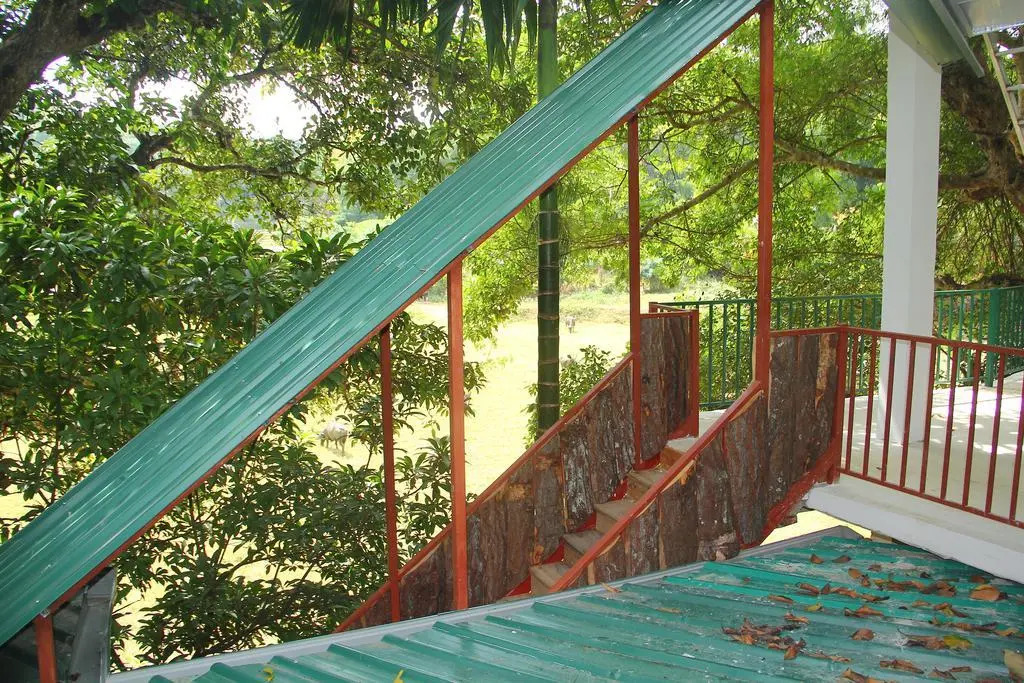 Pines Hut