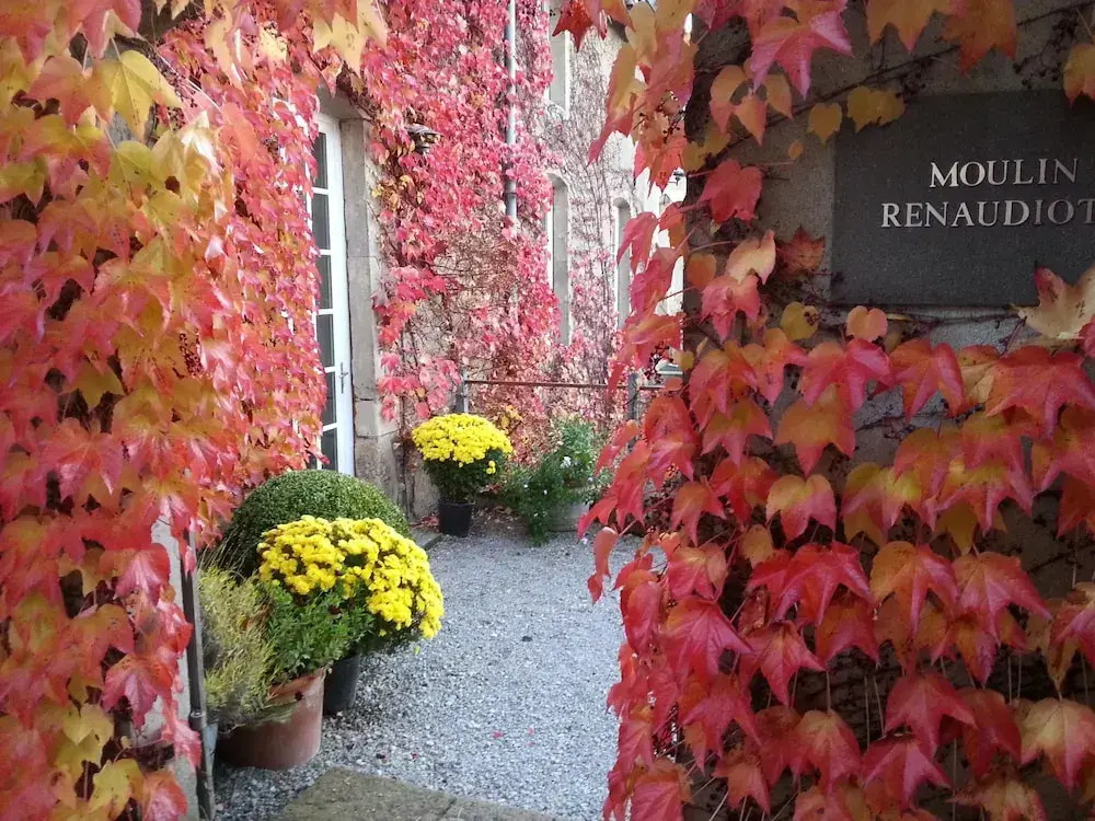 Moulin Renaudiots - Escapade Luxe Refuge cosy & Bourgogne au coin du feu