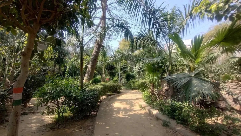 Gavari Indias Delhi Hostel