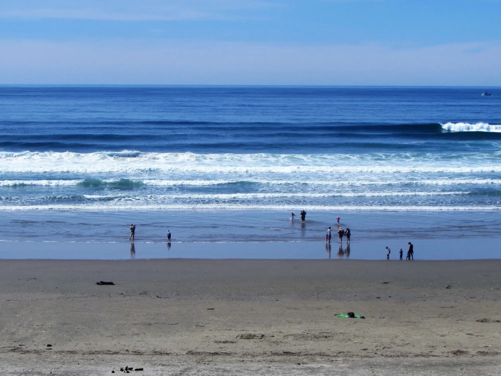 Driftwood Shores Resort