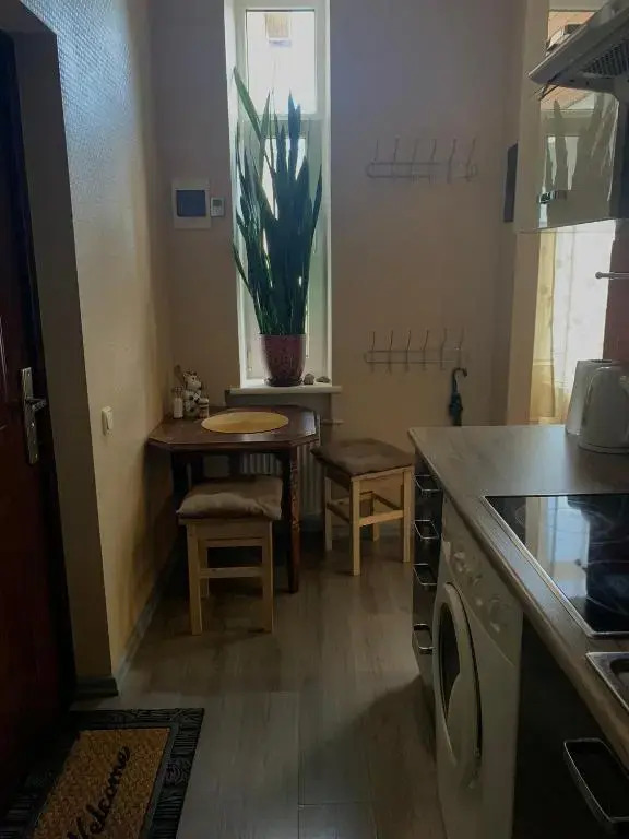 Cozy 1-bedroom apartment in the city centre.