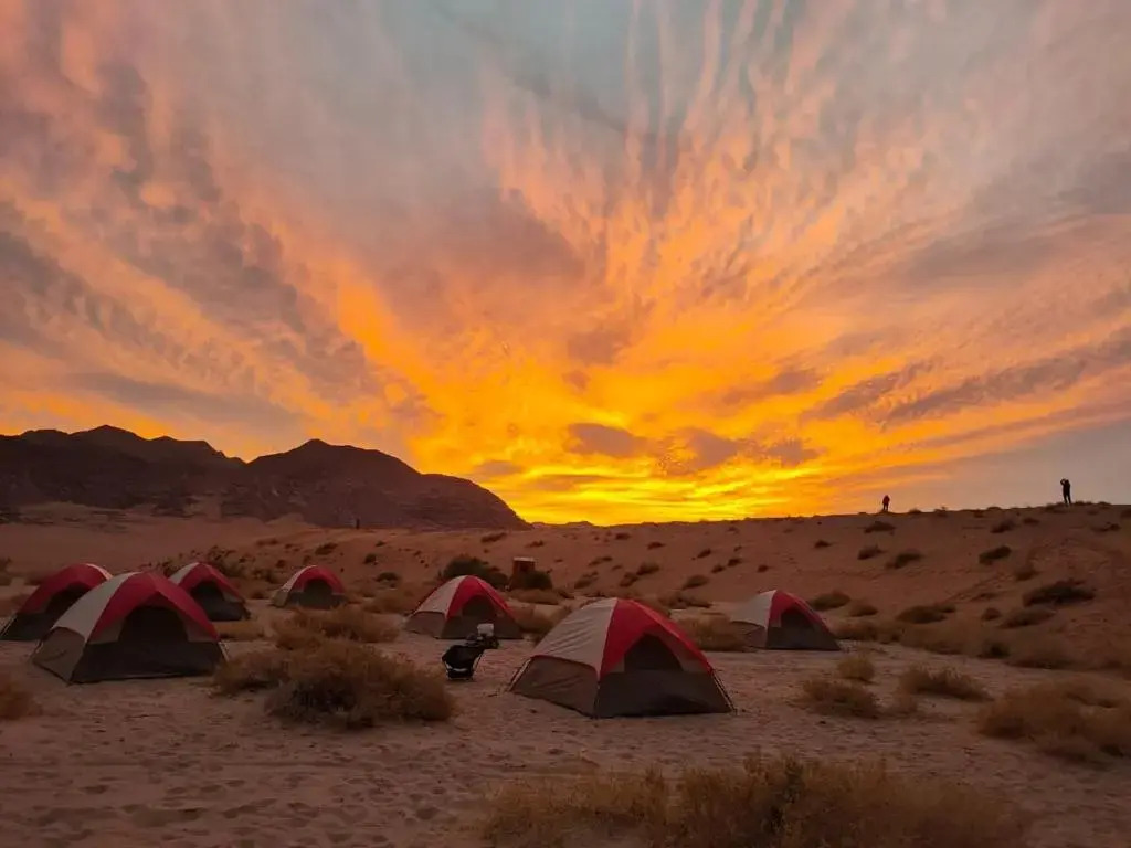 Wadi Rum Magic Nature Camp