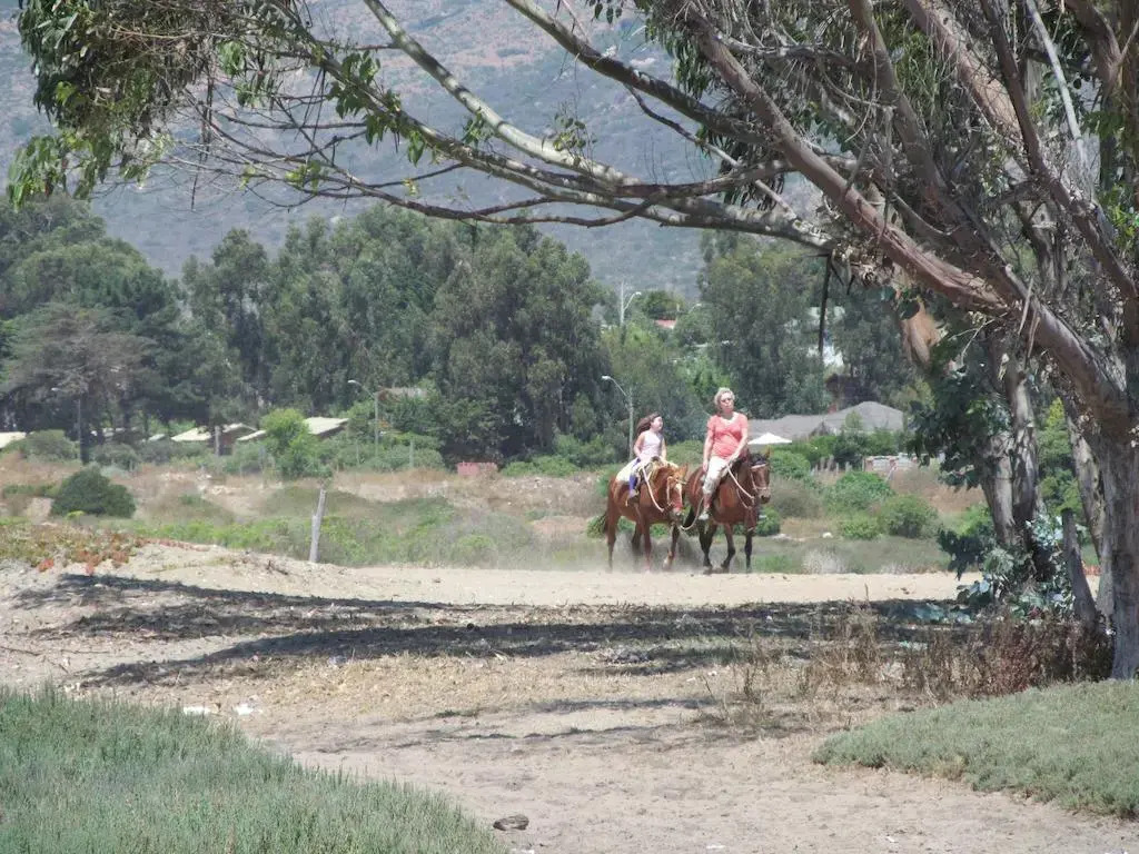 Cabañas Los Tamarugos