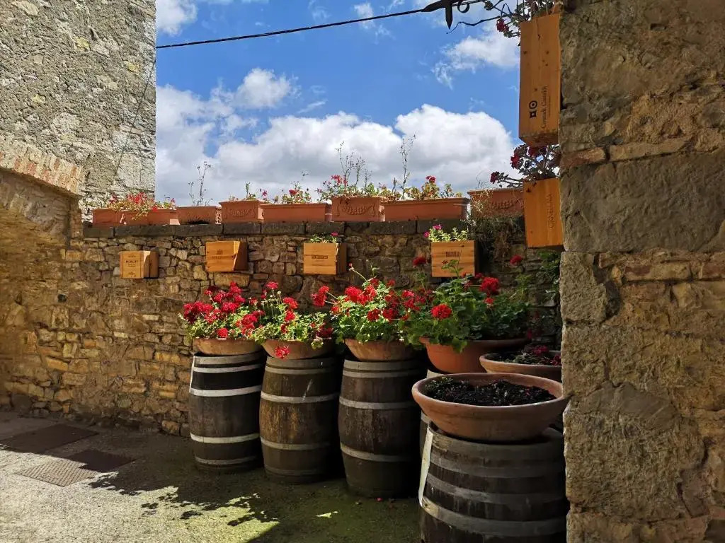 Agriturismo capanna delle Cozzole