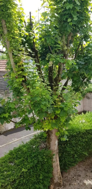 Studio de 12m² agréable calme proche CHU