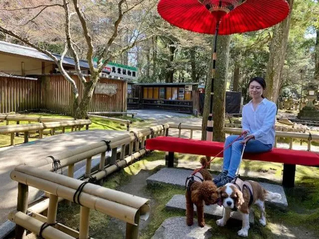 Terrace Kyobate （Vacation house in Nara）