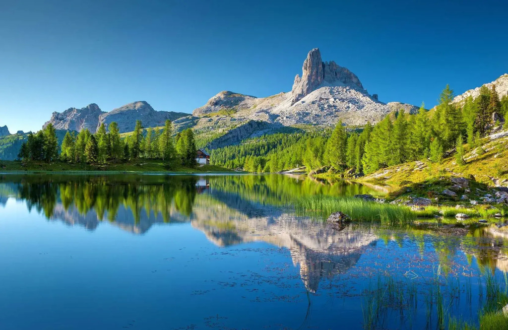 Mirabell Alpine Garden Resort