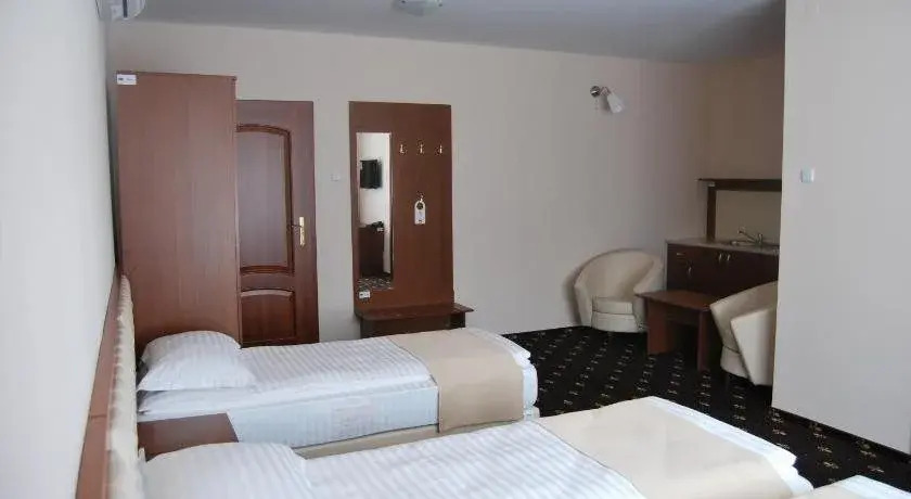 Hostel Paltinis
