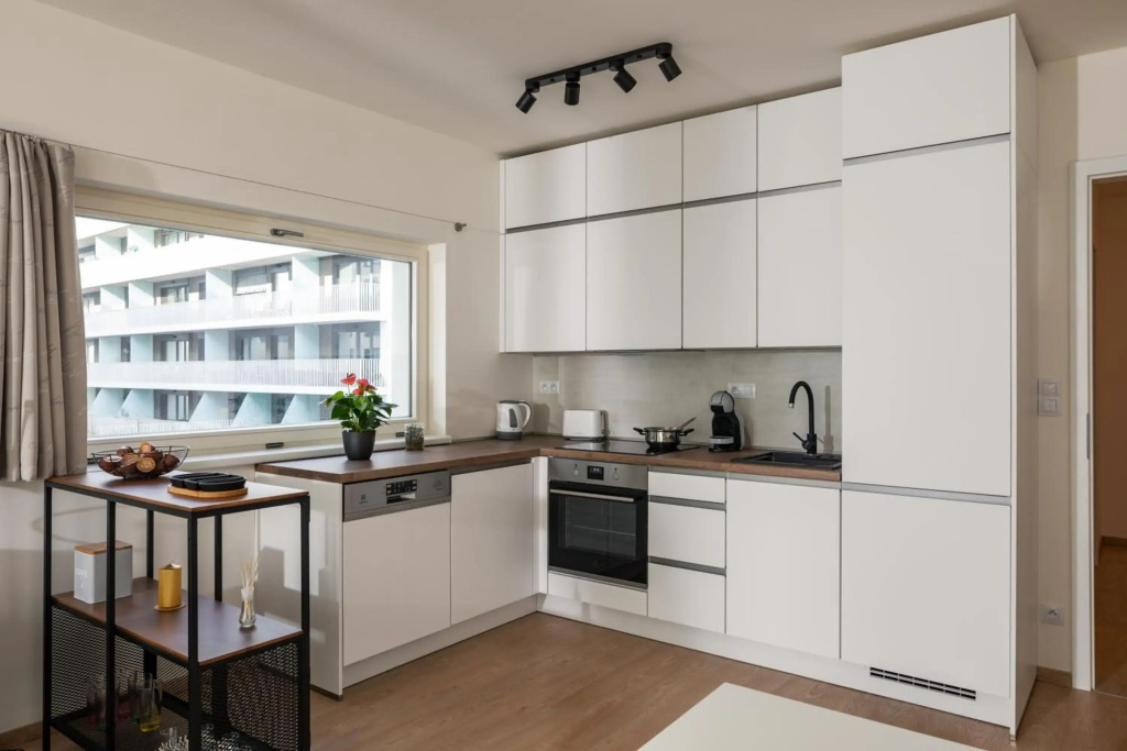Exclusive Condo in Karlín by Prague Days