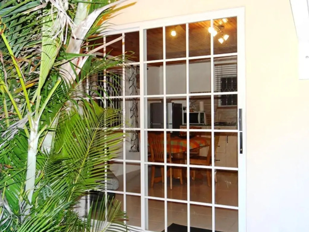 The Reef Palm