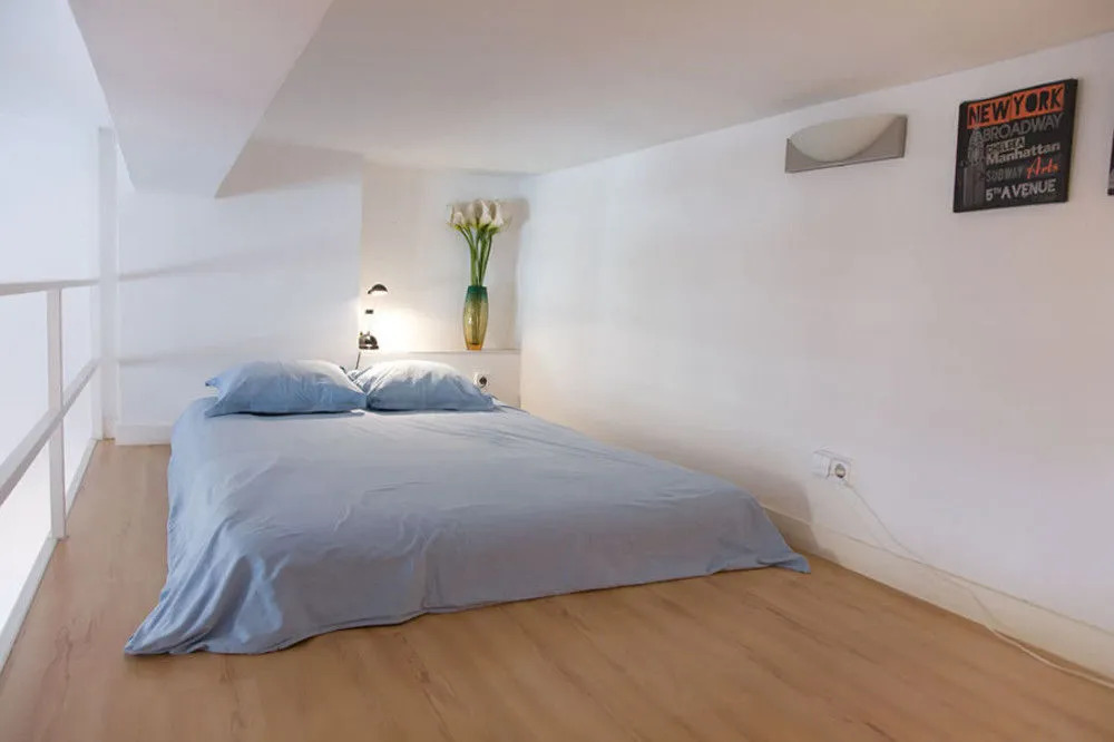 Apartamentos Puerta del Sol-Lofts Calle Ribera de Curtidores